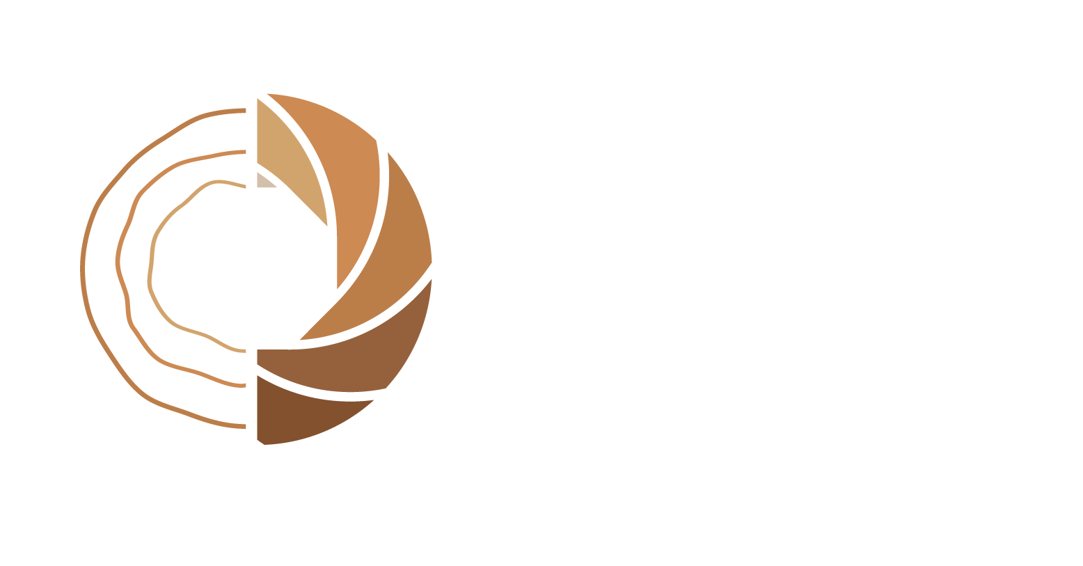 Legno e Luce